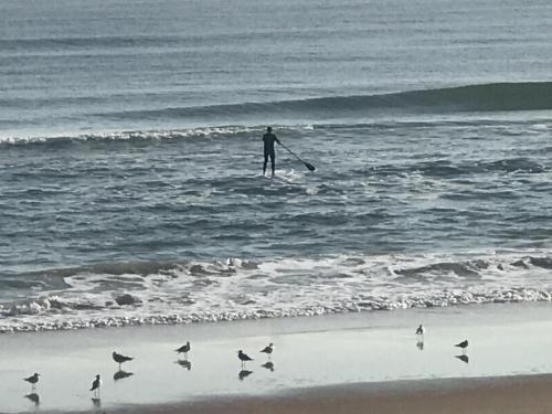 5C4096A7-9ED3-4E84-BABE-DC37655CDC8E