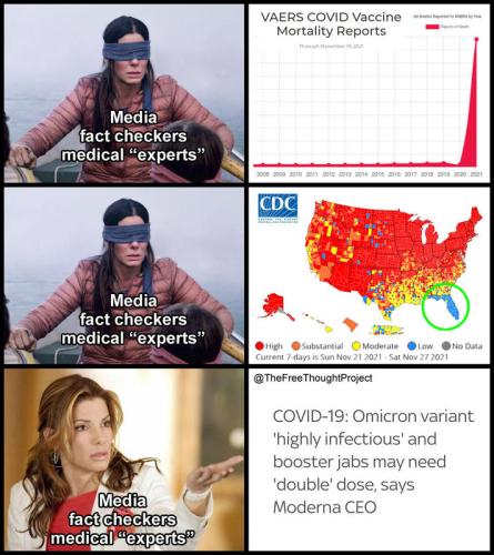 Fact