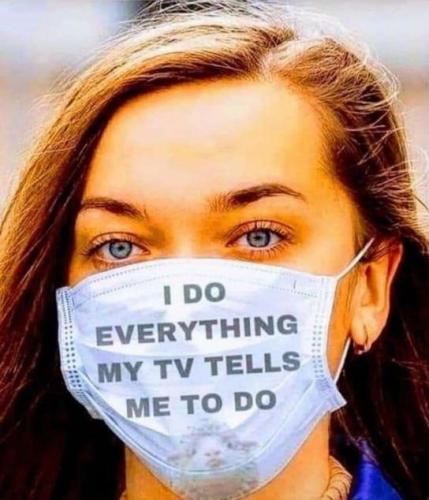 OBEY the government