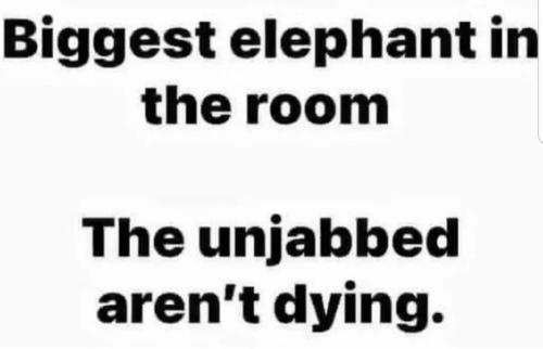 515cd6fa-1768-4ee4-8cfe-bbb973de5f4b