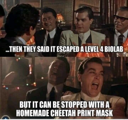 img - 2021-12-16T150503.557