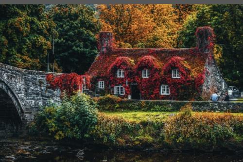 7BB0614C-60F9-48AB-BF1E-815078DA43FD