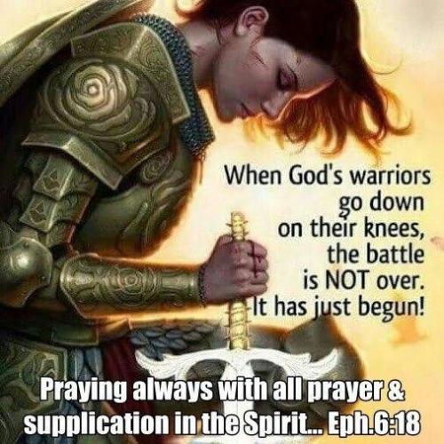 d0e7392e-6fb9-4dc3-a5b6-9acc01e05abc