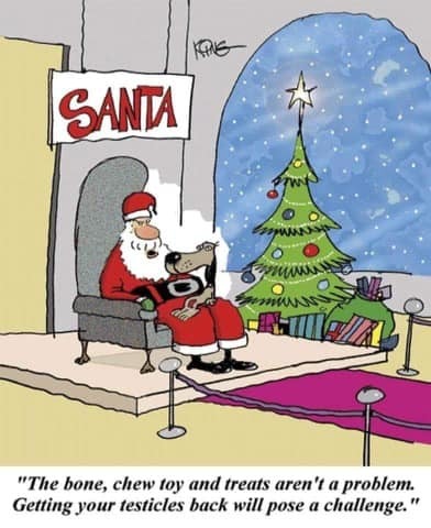 Santa
