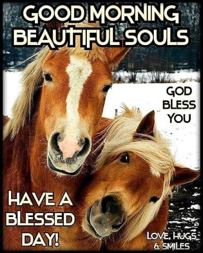 b52d039a-1abd-40e5-a414-2b6c7804d077