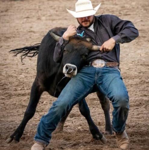 rural - Tristemodorian bull battle