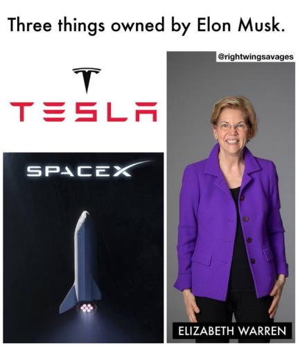 ThreeThingsOwnedByElon1