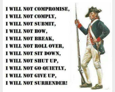 American+patriot