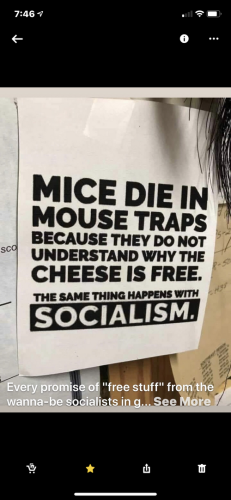 e0c7d0cca9e0d4bf3a3e37441df84c87_500x0