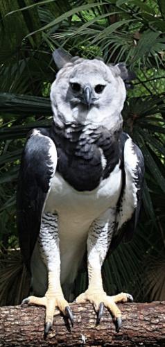 CAF59856-634B-478B-919D-CED4CD4E394B