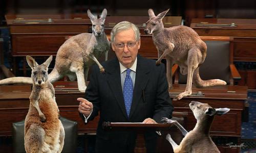 kangaroo-court-2020-