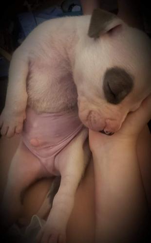 received_957544818497286