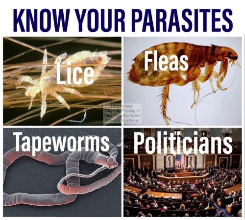 66e226fa-fbf1-4d76-b390-a790be47a10d