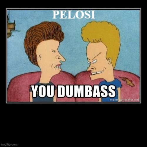 PELOSIYOUDUMBASSWATCHNANCYKISSBIDENBUTT