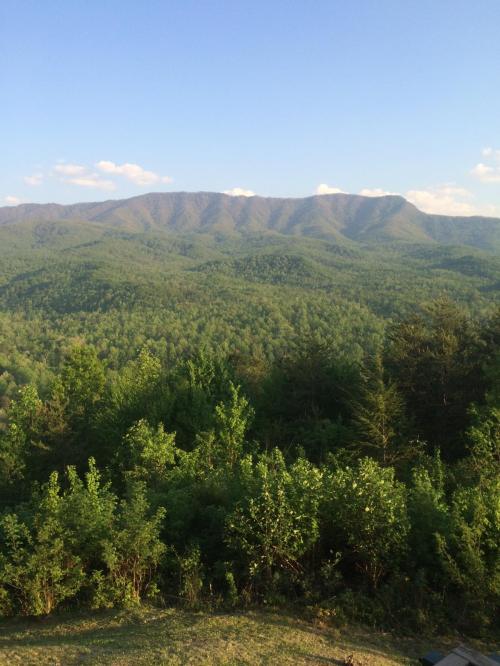 B77BF6D2-95A7-4987-A794-0AEFEE02AF0D