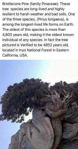 710F95F6-0E48-4268-9D34-5F8396693055