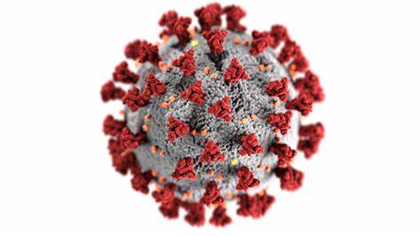 Covid virus pic