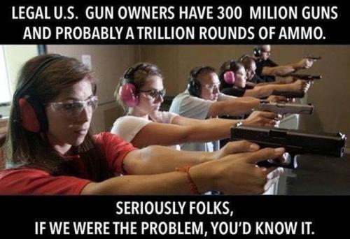 LKEGAL US GUN OWNERS