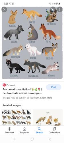 Screenshot_20211209-092531_Google