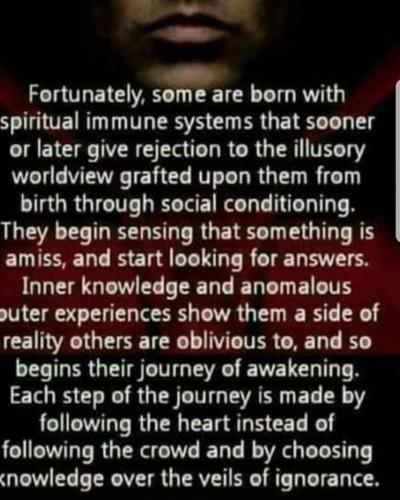 264957126_5269877963042018_2274233377514579133_n