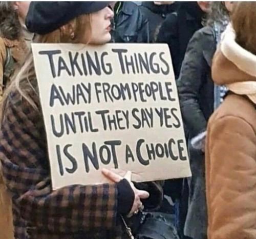 2970dae22623720955cda4e1df6a6299_500x0