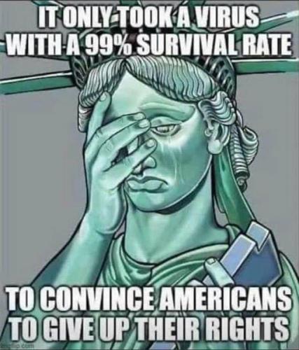 Americans gave up their rights over a not so bad virus