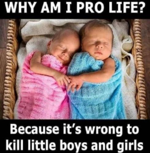 7488cd18-8f97-4bb8-8ac8-c342c4d44395