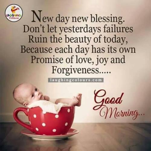 DC079EF2-E7F5-498C-8CE3-AA7325D6167E