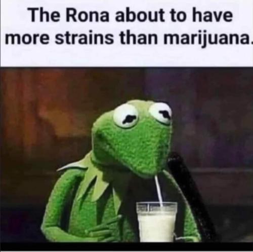 85D2352C-96E7-4108-BD86-1812D6936B94