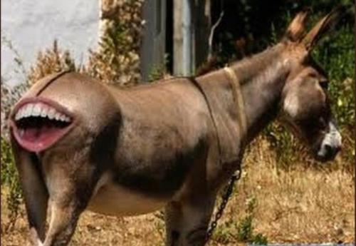 Screenshot_2020-02-27_044848 (1)