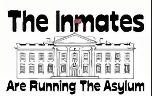 Screenshot_20211210-093332_Google