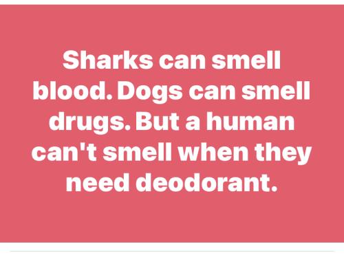 D998D623-E816-456C-9D57-9F0FA95717EB