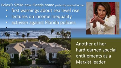 000Pelosi FLA