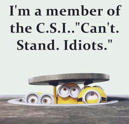 Z181