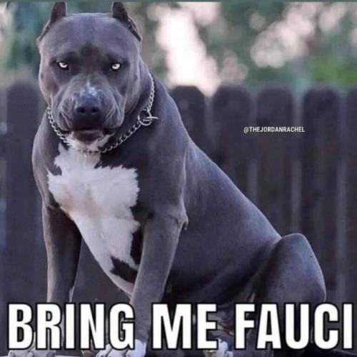 Tumblr_l_5169724015787