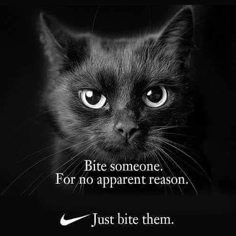 bite someone