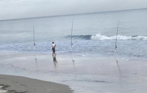 C44649A9-C305-42F7-A97D-2A6764340AA8