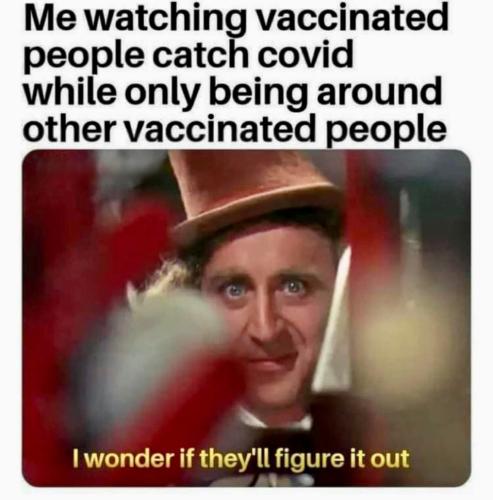 fdf6c75b-da40-4e4e-a17f-8cb2047ac503