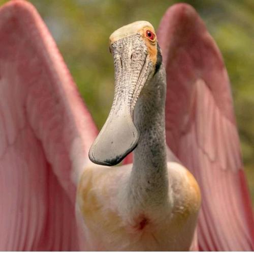 2A7BF50B-11D8-41CF-8375-E01442E39AEF