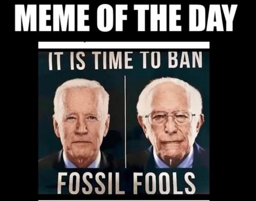 8A07F74B-7EDD-462C-8206-222D4E630693
