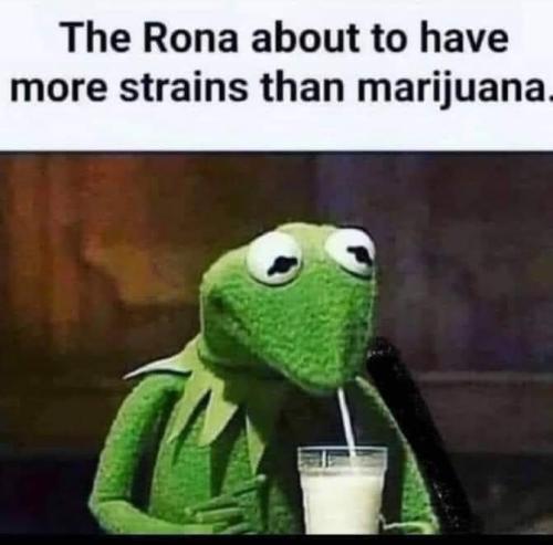 FB_IMG_1638415258649