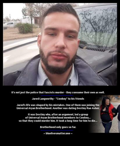 jared_langworthy_infographic