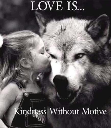 Kindness - Without motive