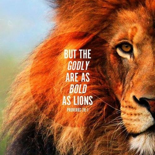 044be46b-f742-4290-9190-5c9bf9b21b45