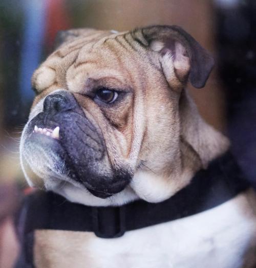 BD6CDA66-1FBD-4C87-8EC2-08E5EA0F5DAA