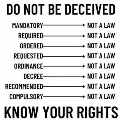 -5030949761267640740_121