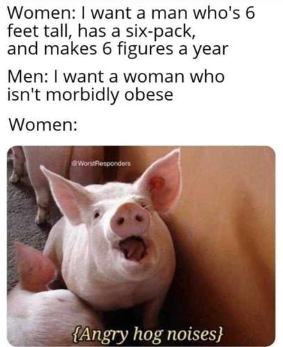 N3KzVxdN44U46jYqN6HG_16_b031170b3e2ccc73fd05ad66118cdc71_image