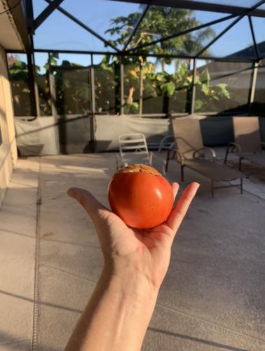 FBC03F1F-5B32-44D5-B1E4-94C70823162E