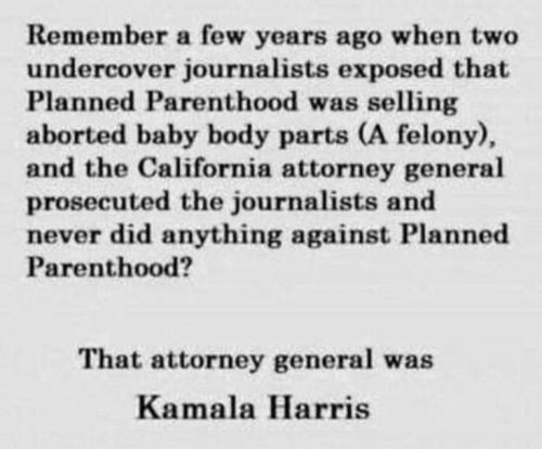 5ef0a417b5589085ad0f4c5d986763e7_500x0