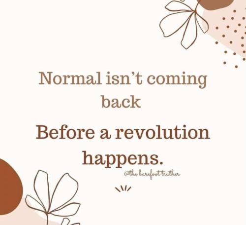 C601BE15-A5F9-4BC6-AE54-B0F663B49E93